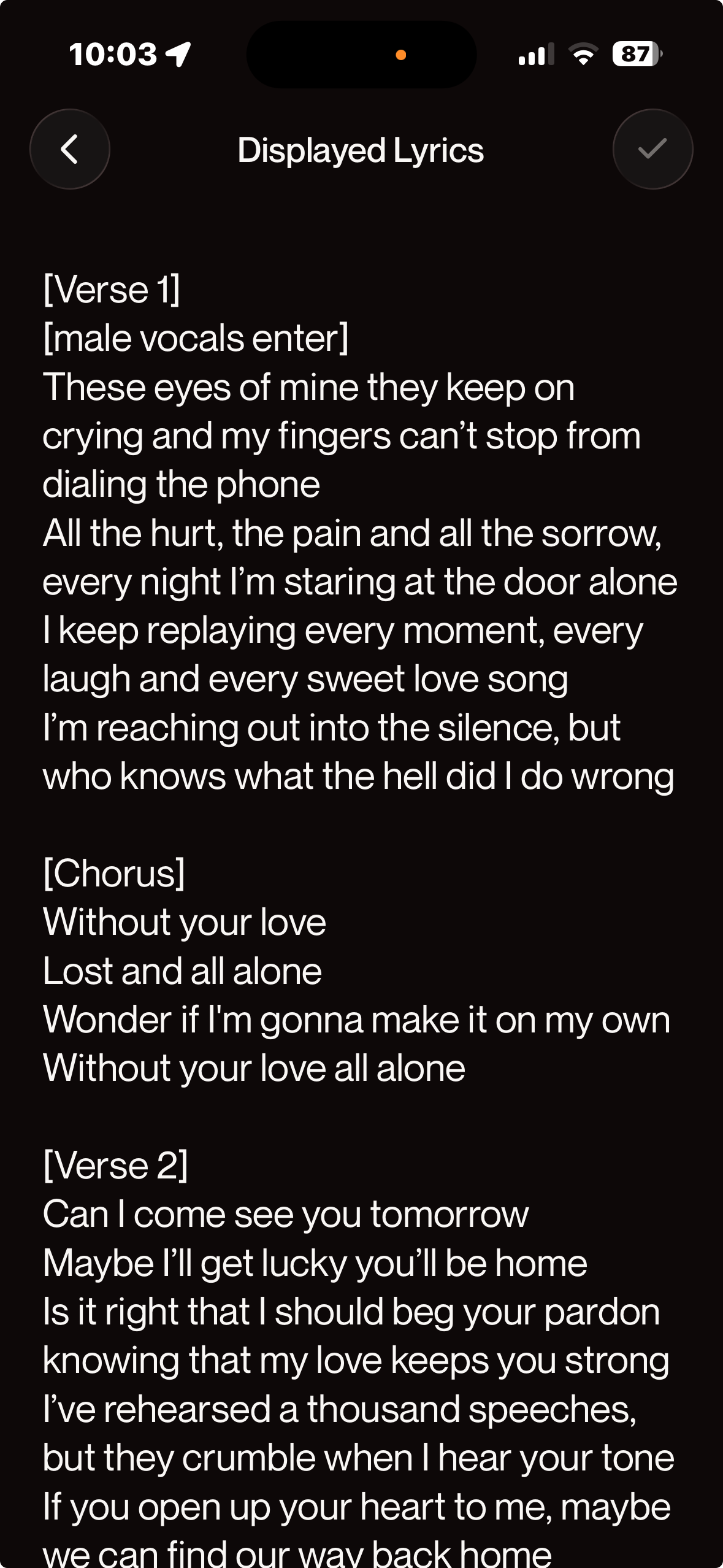 LyricsWithoutYourLoveLostandAlone(c)(tm)